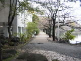 松栄神社よこから延びる帯曲輪・しかしここは埋立てた跡だ
