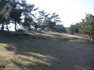 Nnʂ